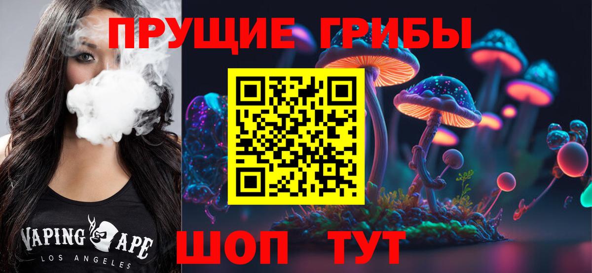 Всеволожск  Галлюциногенные грибы Psilocybe  Галлюциногенные грибы ЛСД  Вход с VPN 